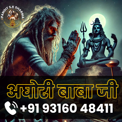 Get information About Astrologer